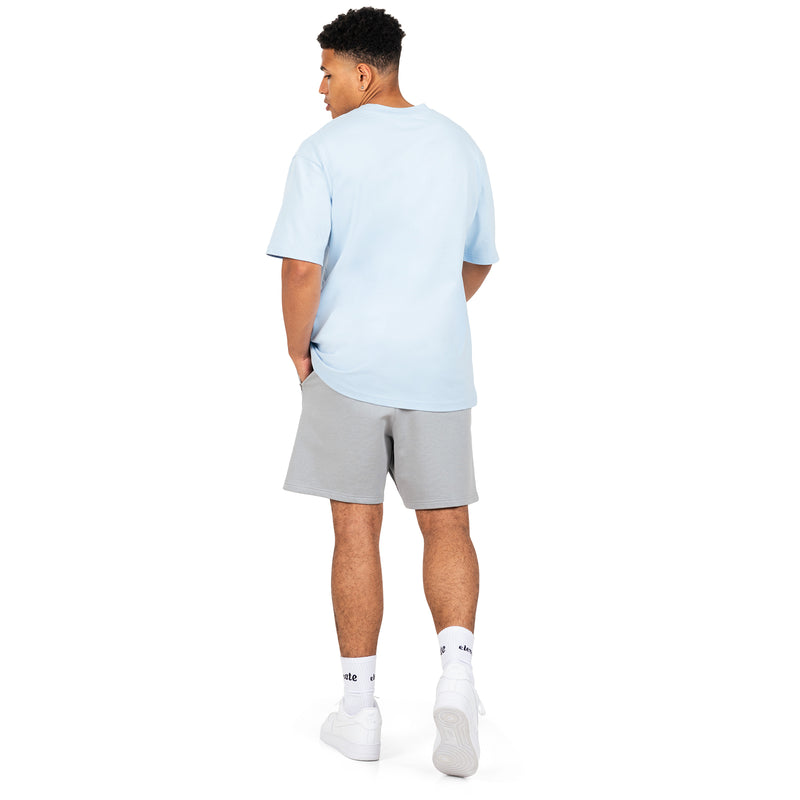 GREY SUMMER ELEVATE SHORTS
